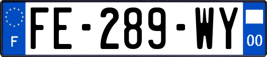 FE-289-WY