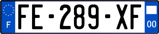 FE-289-XF