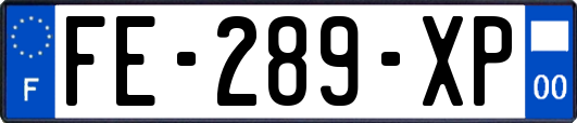 FE-289-XP
