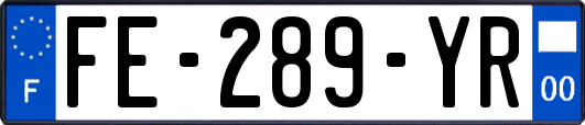 FE-289-YR