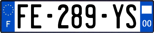 FE-289-YS