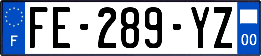 FE-289-YZ