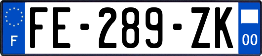 FE-289-ZK