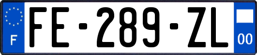 FE-289-ZL