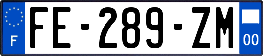 FE-289-ZM