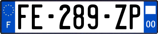 FE-289-ZP