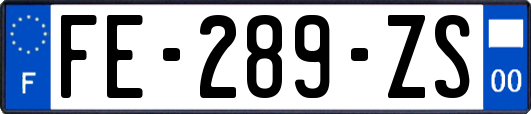 FE-289-ZS