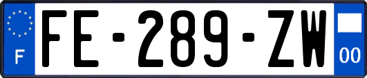 FE-289-ZW