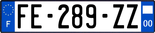 FE-289-ZZ