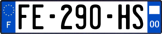 FE-290-HS
