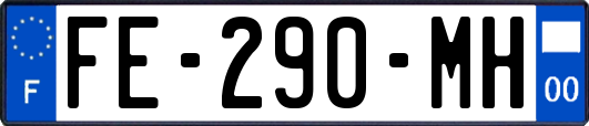 FE-290-MH