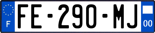 FE-290-MJ
