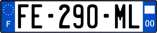 FE-290-ML