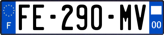 FE-290-MV