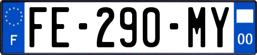 FE-290-MY