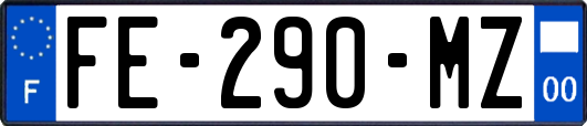 FE-290-MZ