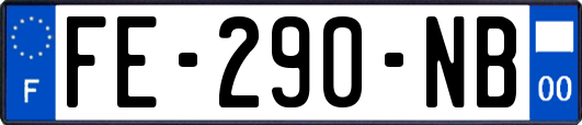 FE-290-NB