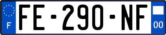 FE-290-NF