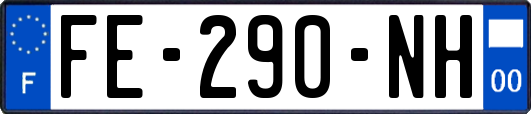 FE-290-NH