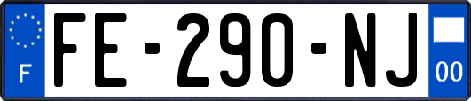 FE-290-NJ