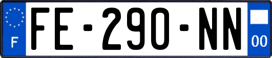 FE-290-NN