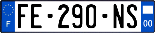 FE-290-NS