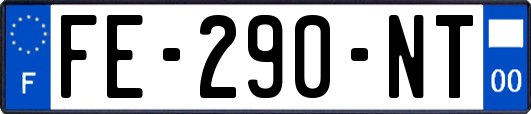 FE-290-NT