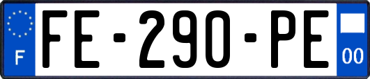 FE-290-PE