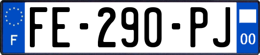 FE-290-PJ