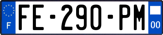 FE-290-PM