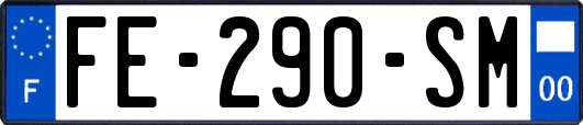 FE-290-SM