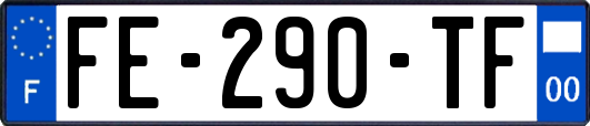 FE-290-TF
