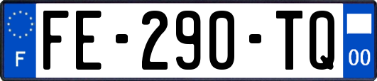 FE-290-TQ