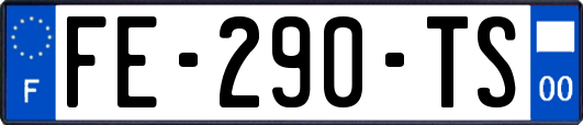FE-290-TS