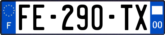 FE-290-TX