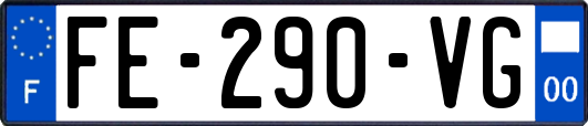 FE-290-VG