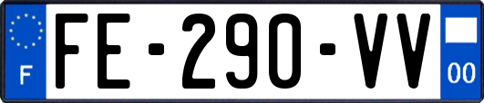 FE-290-VV