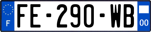 FE-290-WB