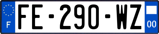 FE-290-WZ