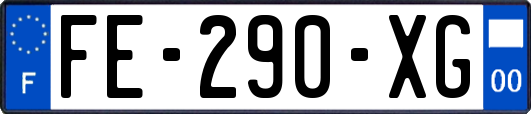 FE-290-XG