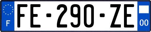 FE-290-ZE