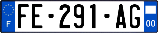 FE-291-AG