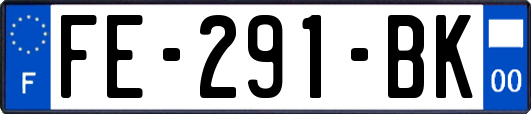 FE-291-BK