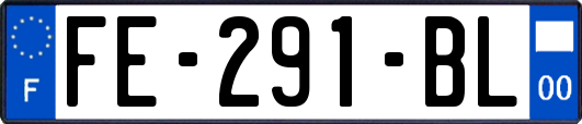 FE-291-BL