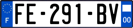FE-291-BV