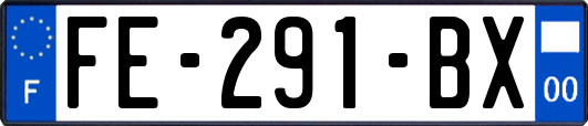 FE-291-BX