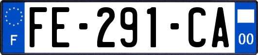 FE-291-CA