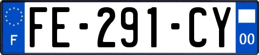 FE-291-CY