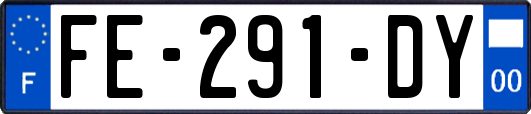 FE-291-DY