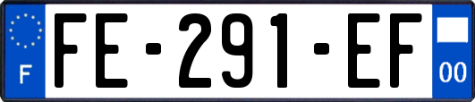 FE-291-EF
